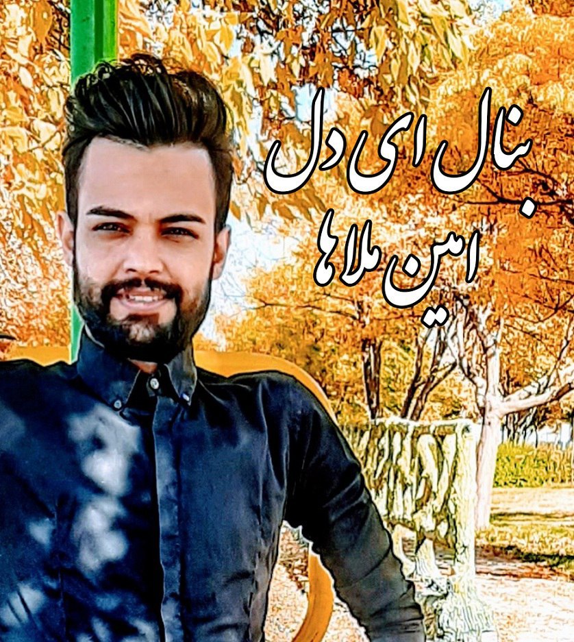 امین ملاها بنال ای دل